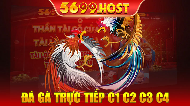 Đá Gà Trực Tiếp C1 C2 C3 C4 - Khám Phá Những Trận Đấu Kịch Tính Tại 5699