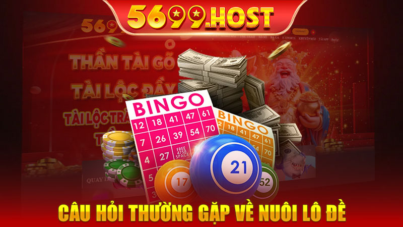 Những Câu Hỏi Thường Gặp Về Nuôi Lô Đề