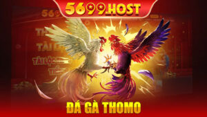 Đá gà thomo - Trải nghiệm cá cược đỉnh cao và hấp dẫn