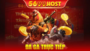 Đá Gà Trực Tiếp - Khám Phá Thế Giới Cá Cược Kịch Tính Tại 5699