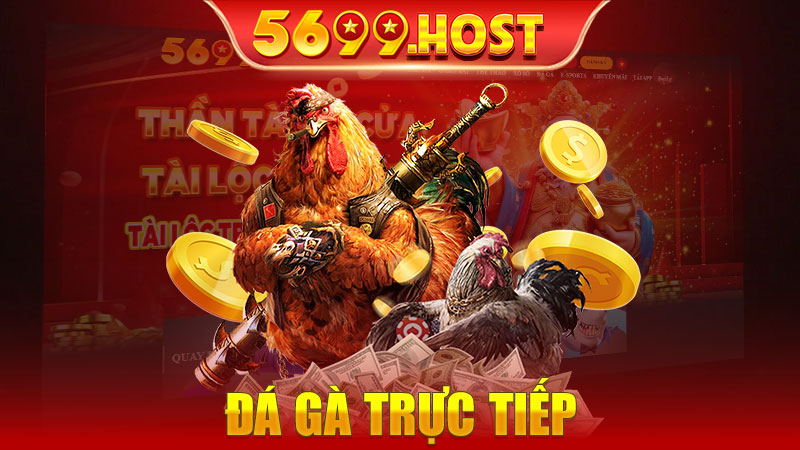 Đá Gà Trực Tiếp - Khám Phá Thế Giới Cá Cược Kịch Tính Tại 5699