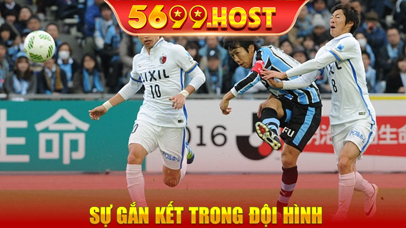 Sự gắn kết trong đội hình