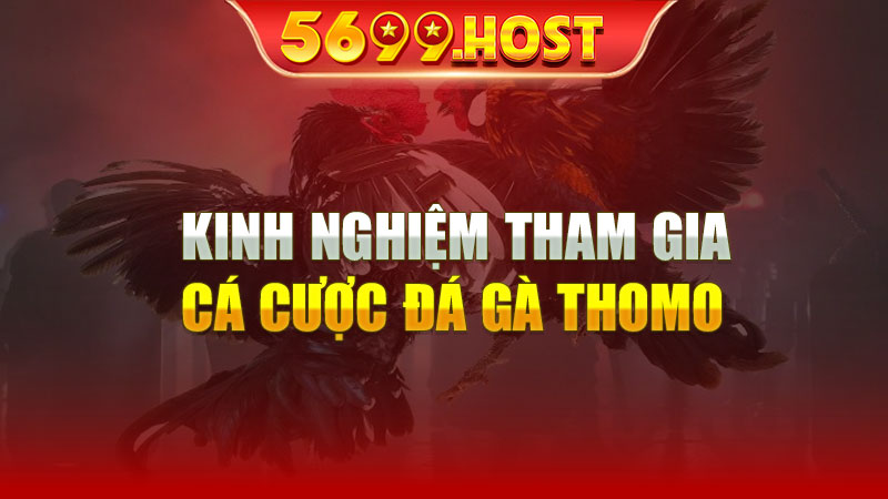 Kinh nghiệm tham gia cá cược đá gà thomo