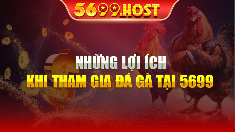 Những Lợi Ích Khi Tham Gia Đá Gà Tại 5699