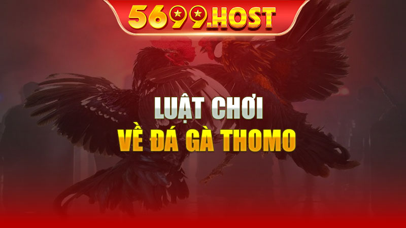 Luật chơi đá gà thomo