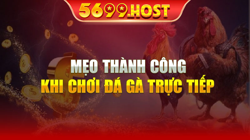 Mẹo Thành Công Khi Chơi Đá Gà Trực Tiếp