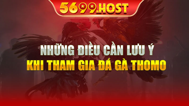 Những điều cần lưu ý khi tham gia đá gà thomo