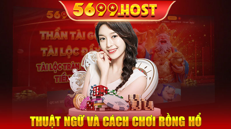 Thuật ngữ và cách chơi Rồng Hổ 5699 chính xác