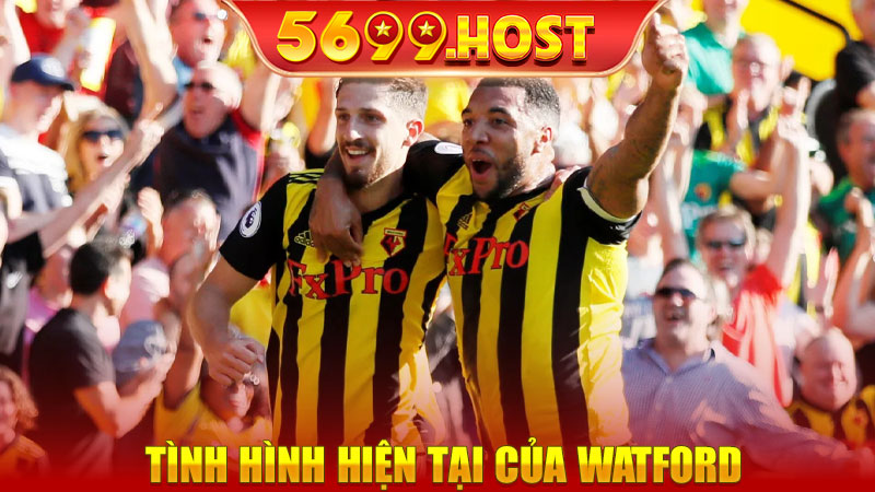 Tình hình hiện tại của Watford