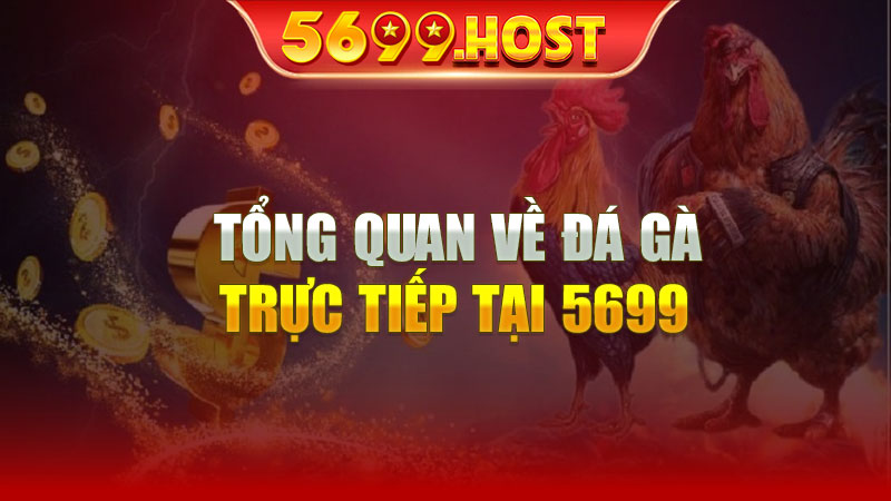 Tổng Quan Về Đá Gà Trực Tiếp Tại 5699